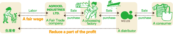 Structure of the Fair Trade